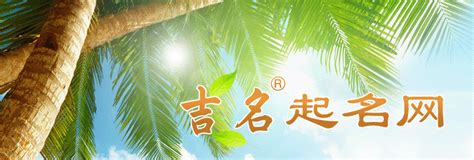 珀名字|带珀字的男孩名字